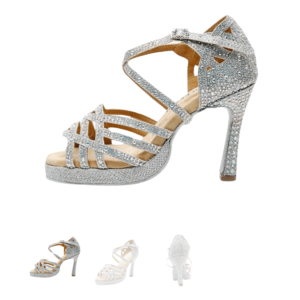 Silver Shoes